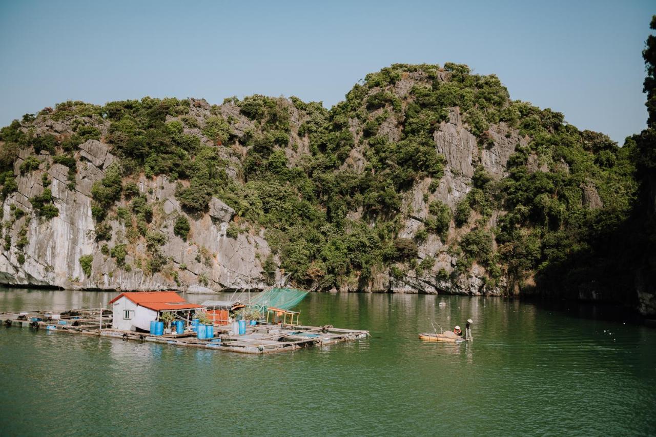 Hotel Cat Ba Bay Cruises Dong Khe Sau Zewnętrze zdjęcie